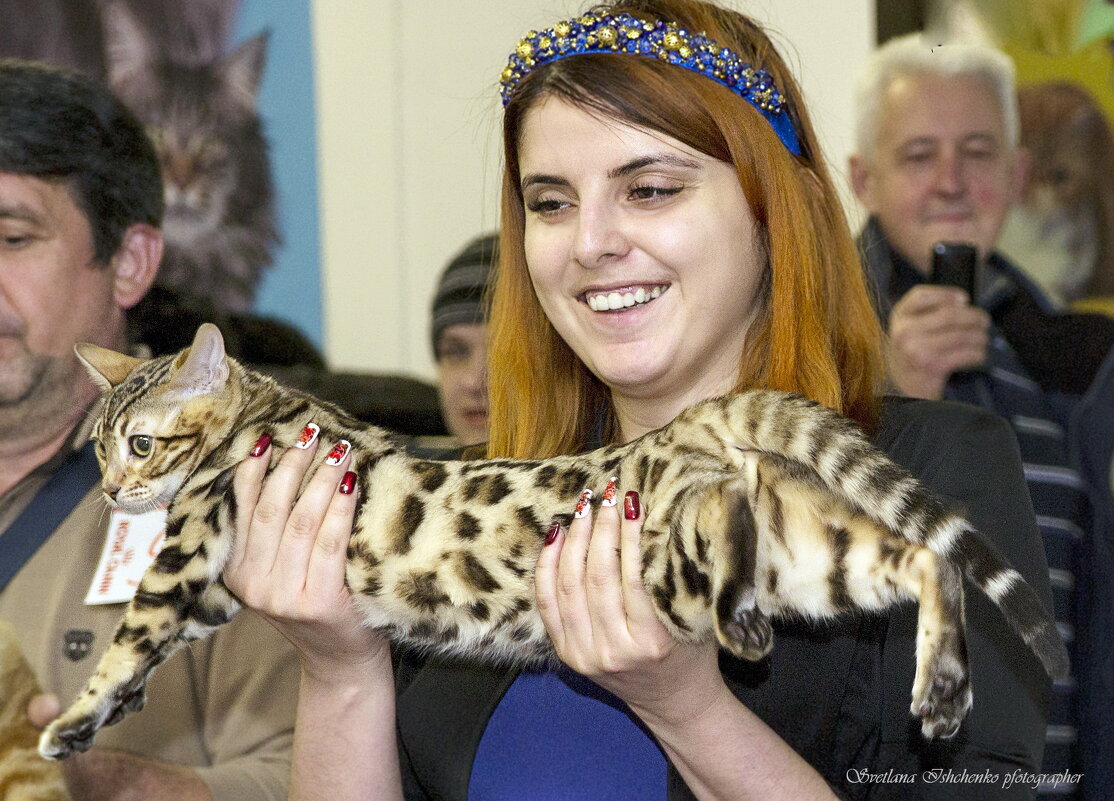 Фото с выставки кошек - Светлана Ищенко