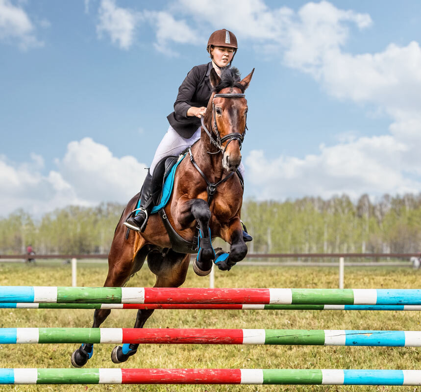 Конкур - SanSan 