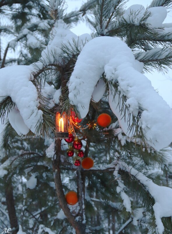 Новый год стучится в двери - Любовь Сахарова