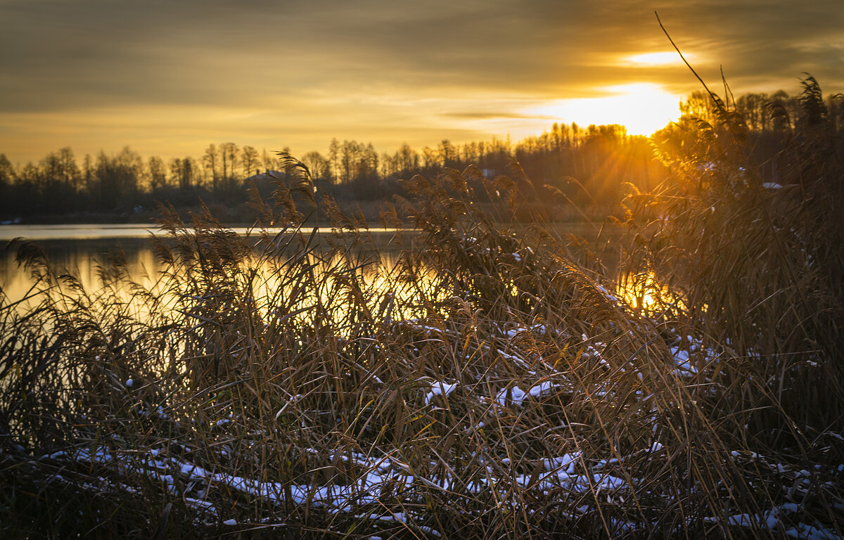 Восход - Сергей Цветков