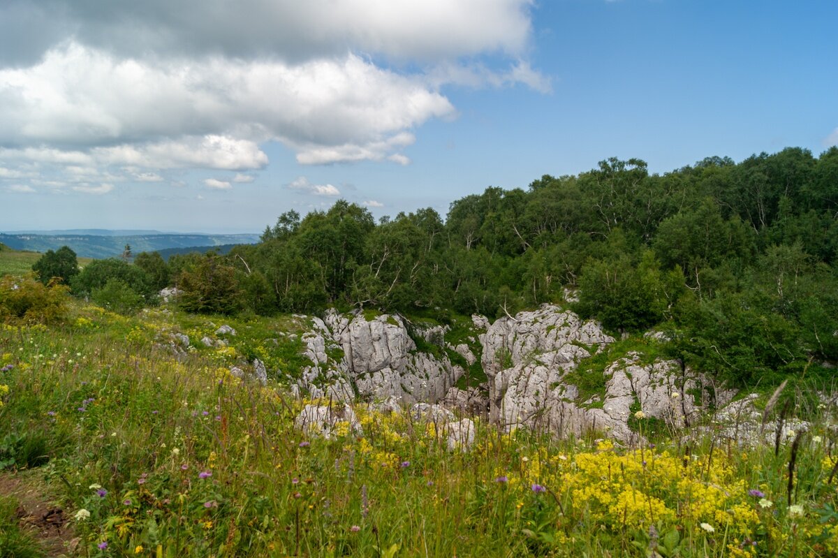 Лаго-Наки - Игорь Сикорский