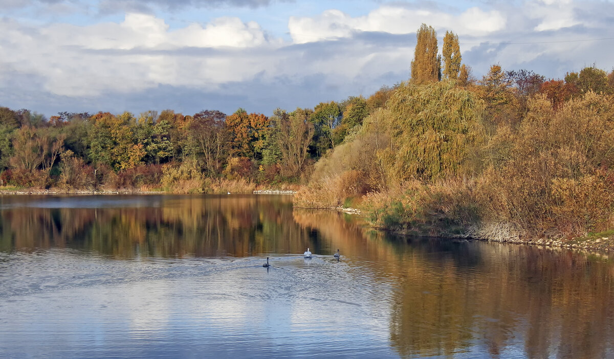 Была осень - Андроник Александр 