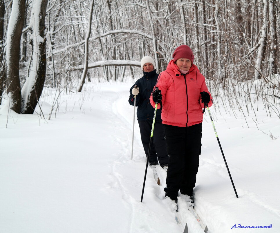 А вы уже встали на лыжи в уходящем году? :-) - Андрей Заломленков