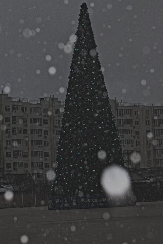 елка - Giant Tao /