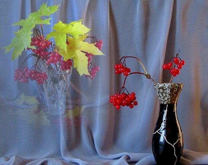 Калина    мечтает... - Галина Кузьмина