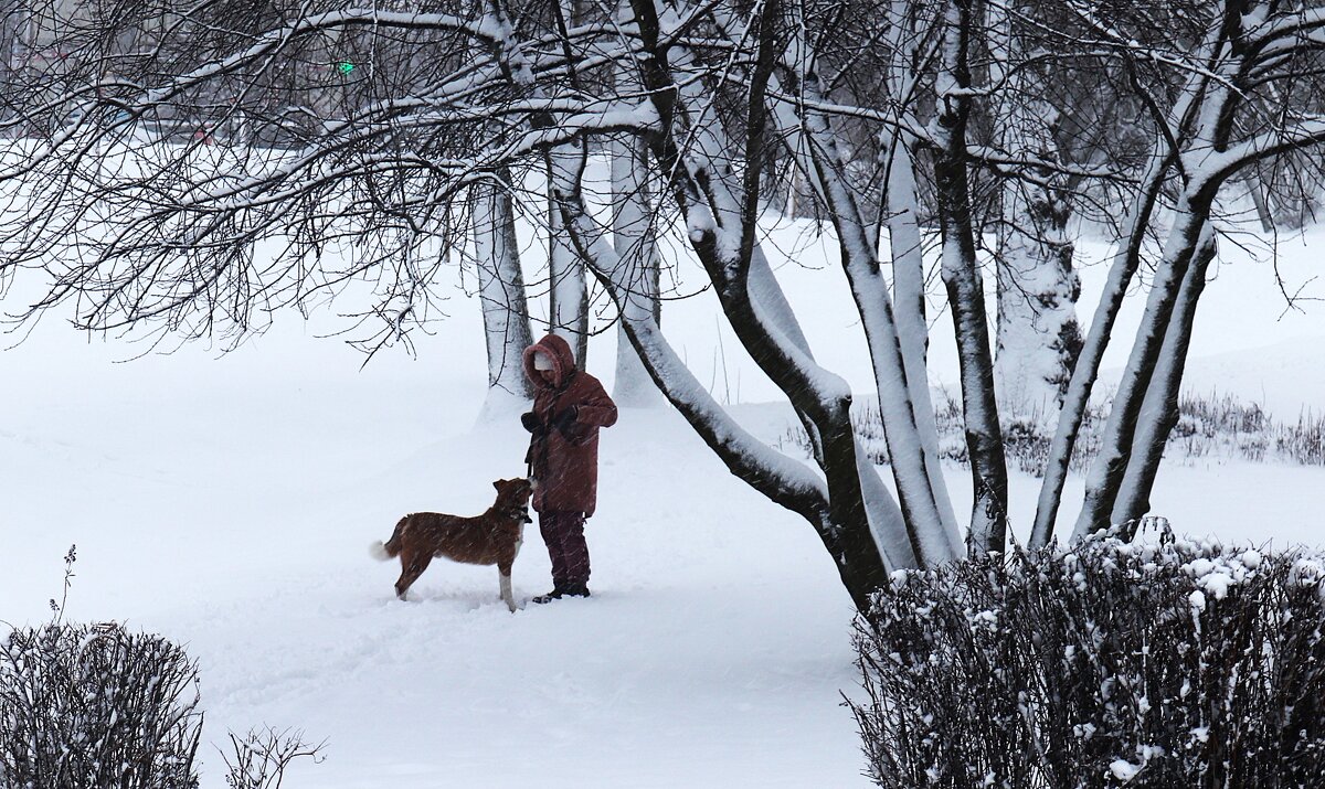 Верность. - Василий Палий