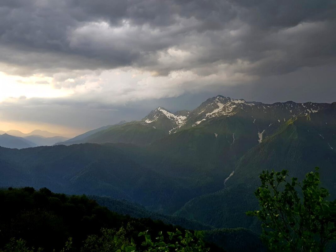 КРАСНАЯ ПОЛЯНА СОЧИ - Tata Wolf