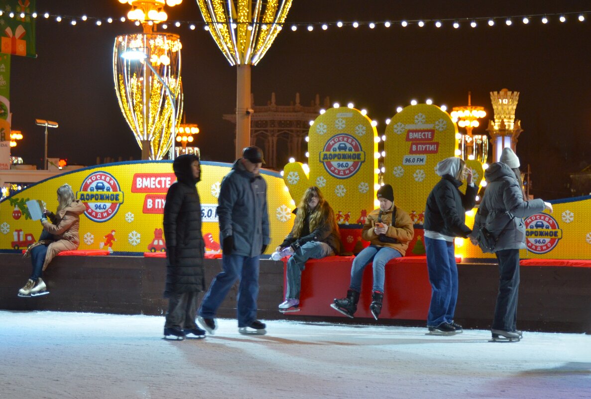 На катке. - Наталья Вязигина