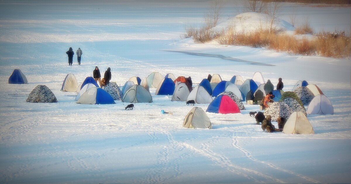- - Aндрей Антонов