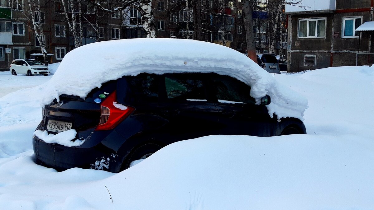 Подснежник - Дмитрий (Горыныч) Симагин