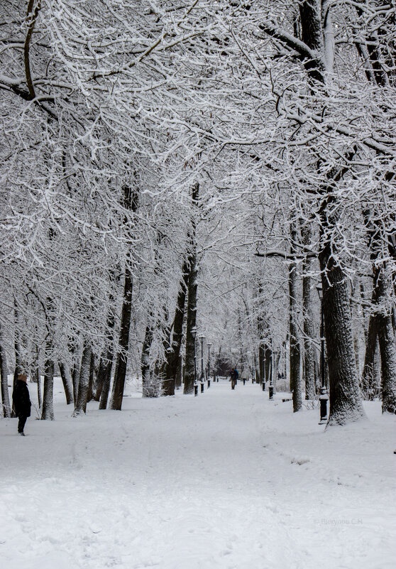 Парк имени А С Пушкина - Sergei Vikulov
