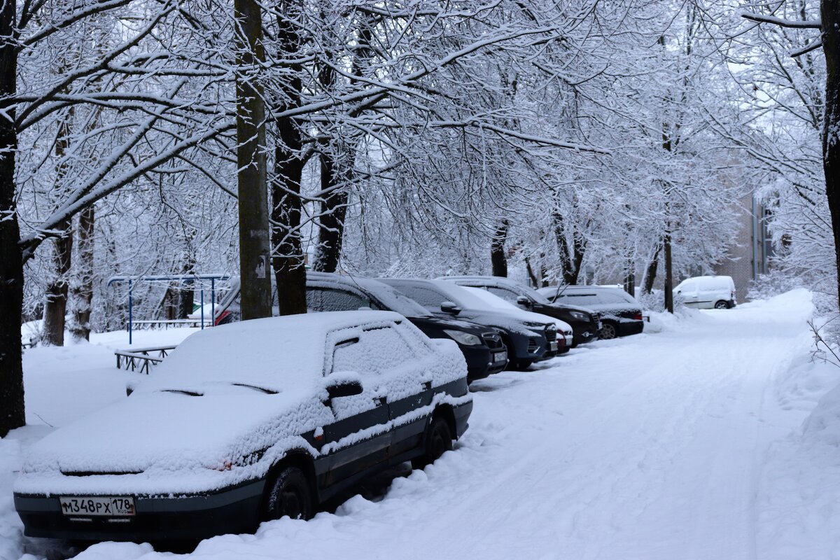 Зимнее утро - Наталья Лунева 