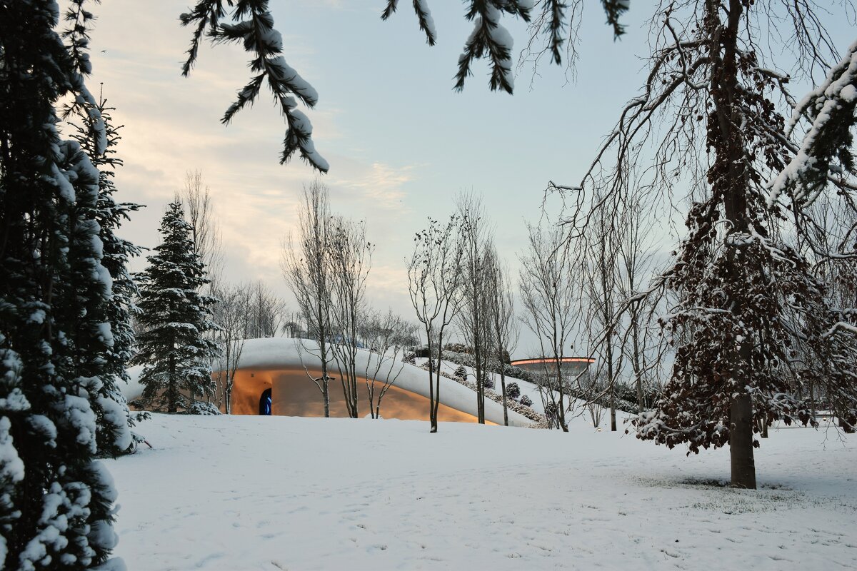 Кроличья нора увидела снег! - Юрий Полторыхин.