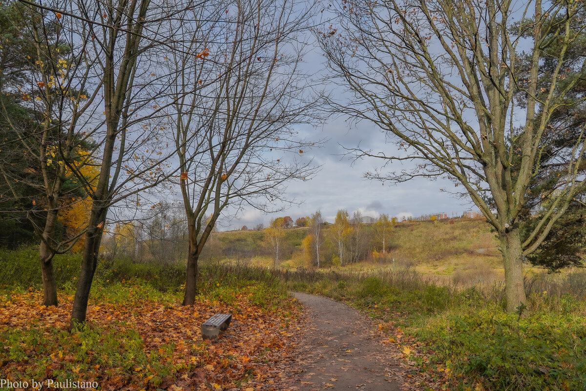 Тропинками осени... - Владимир Жданов