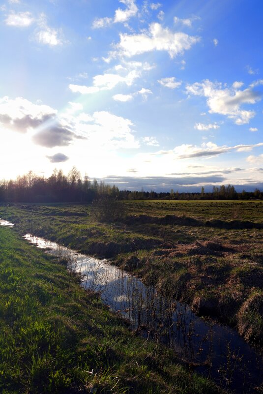 Здесь был аэрогородок Гривочки - Артем 