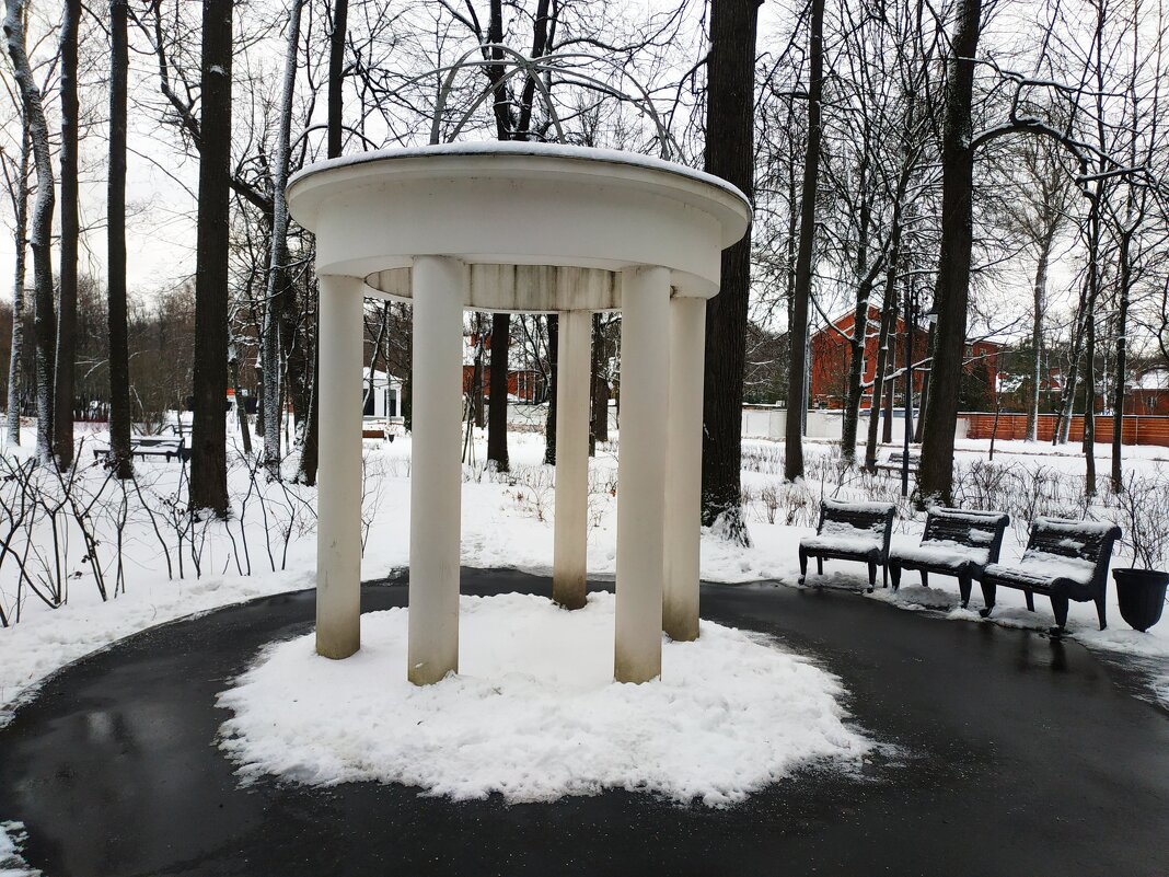 Мед. центр им. Логинова и его украшение - Андрей Лукьянов