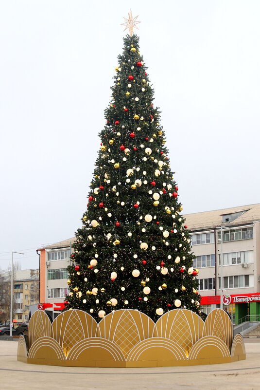 *** - Андрей Л. В.