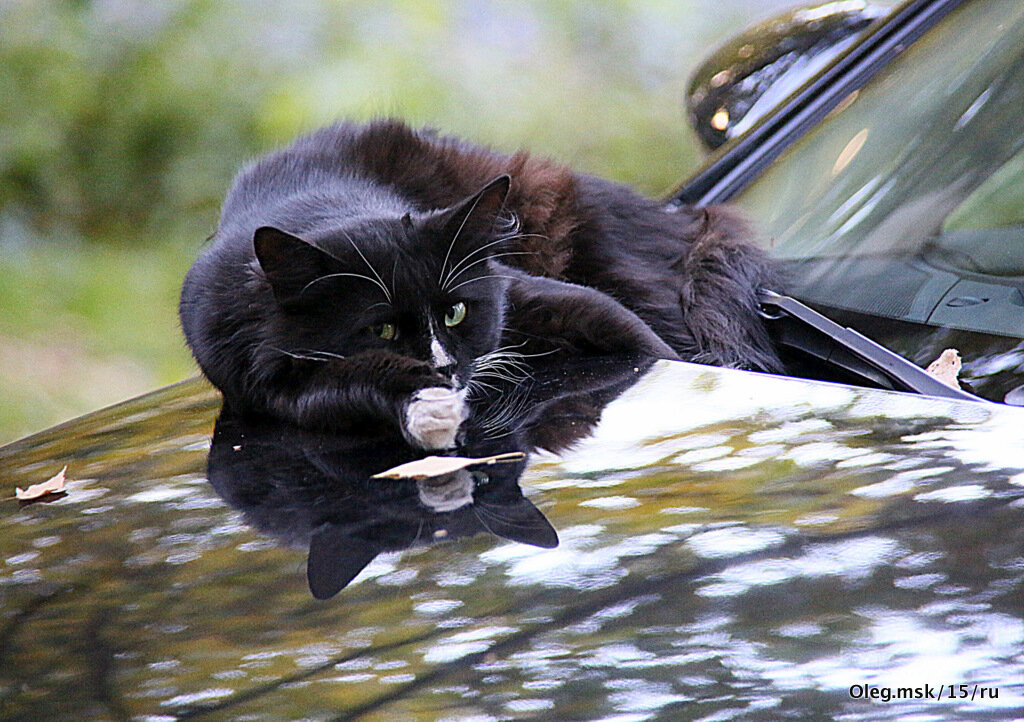 сообразительный - Олег Лукьянов