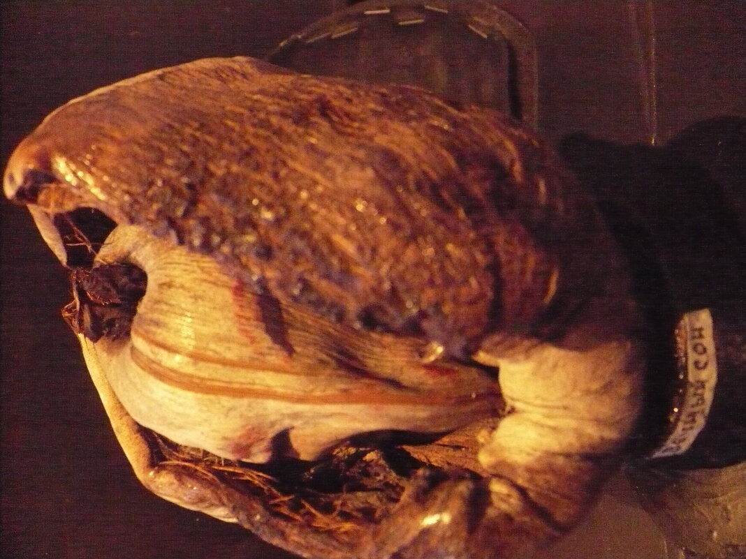 Вечный Сон... - Валерий Кокорев