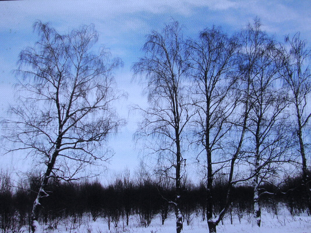 Грустные берёзки - Людмила Смородинская