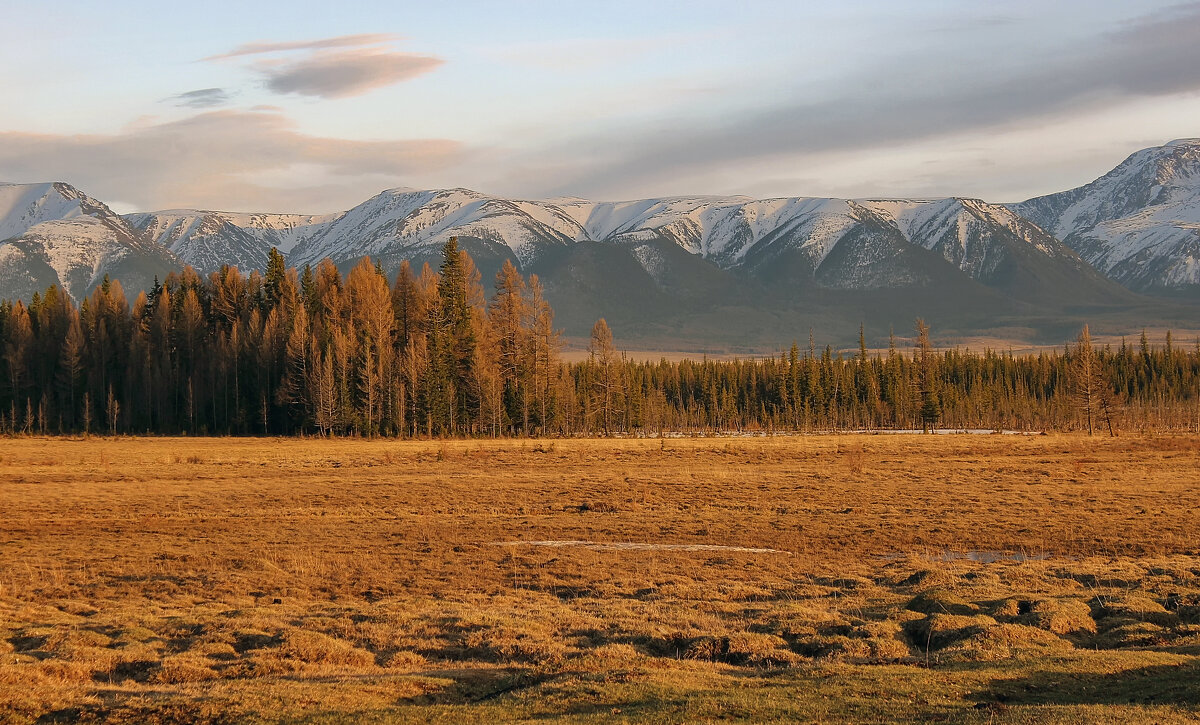 Курай - елена беликова