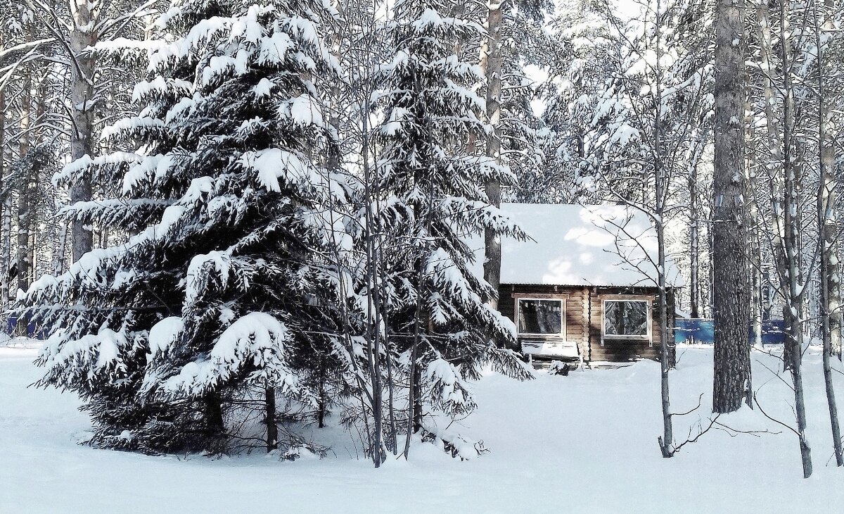 В городском парке - Галина Нестратова В городском парке - Галина Нестратова