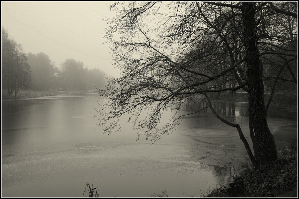 Конец декабря - Aleksandr Gal