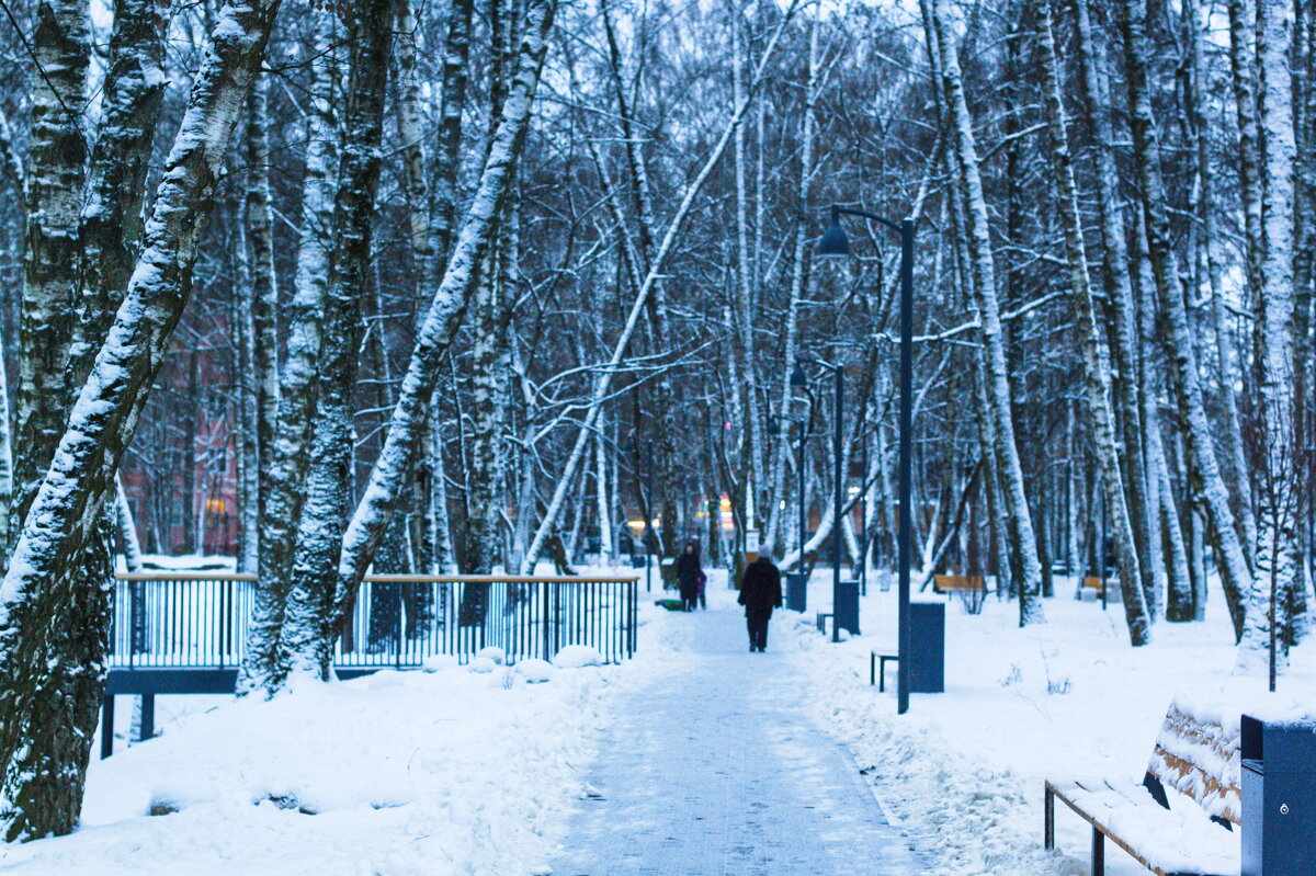 в парке насыпало - Артём 