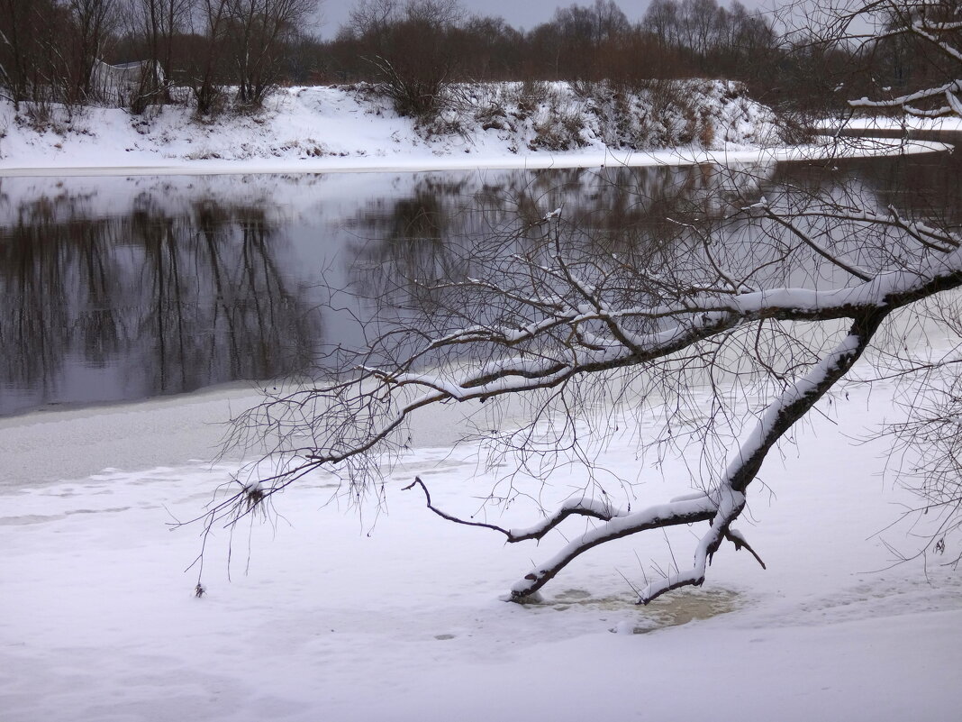 Утро - Андрей Зайцев