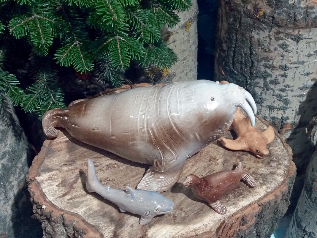 Из глубин морских приплыли показаться самим и мир посмотреть - Galina Solovova