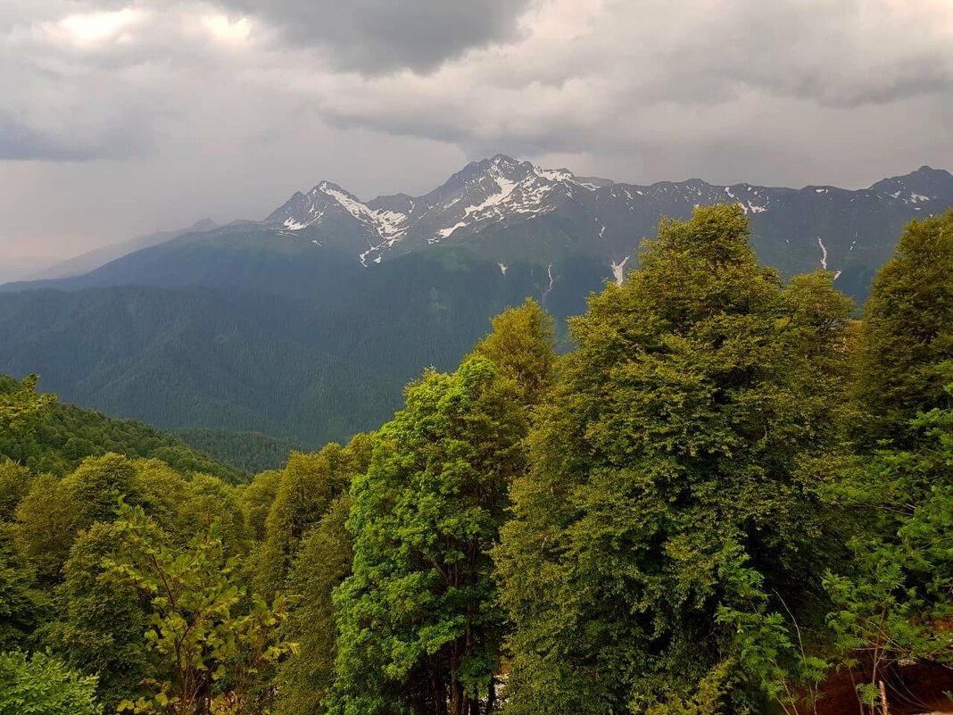 Красная поляна Сочи - Tata Wolf