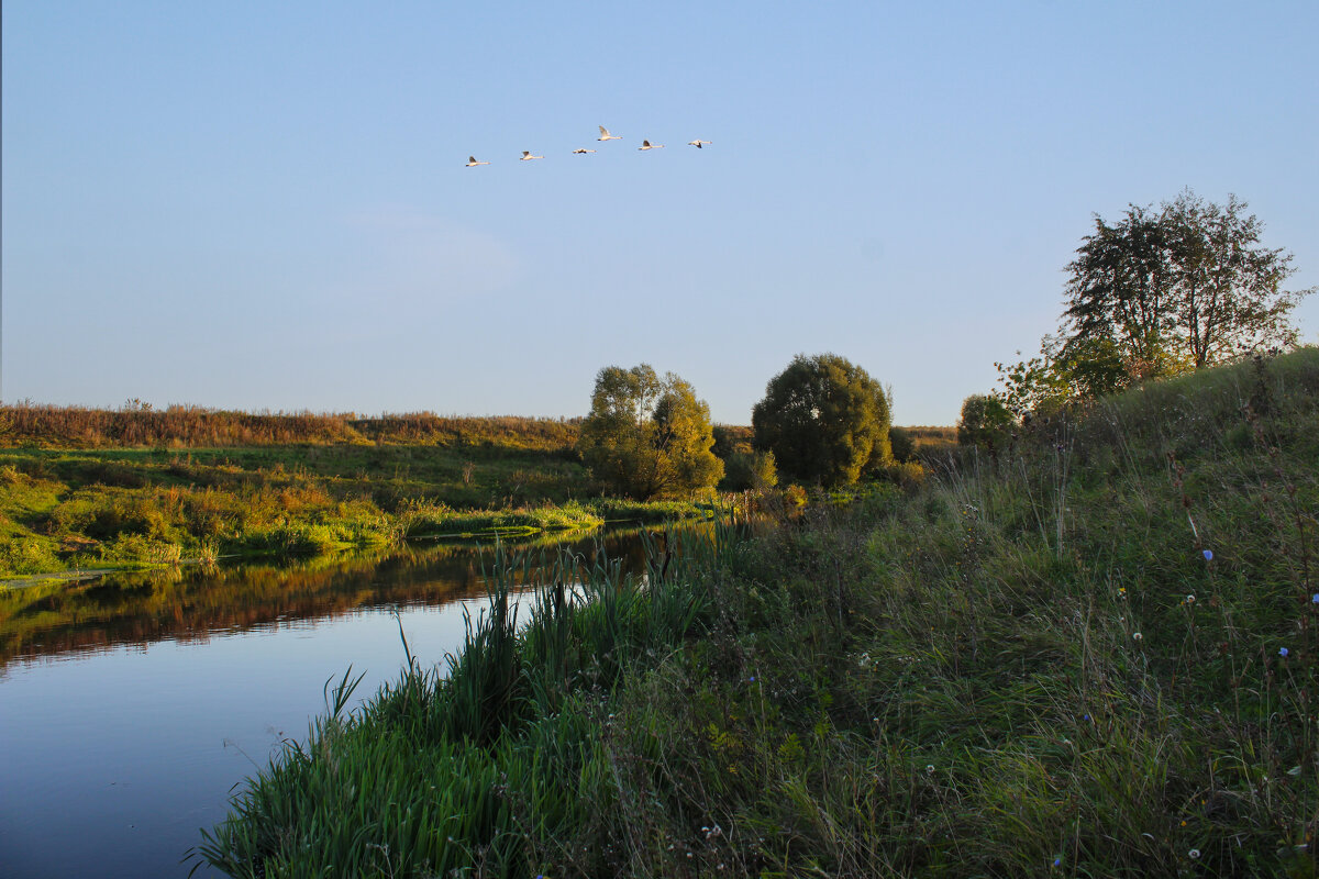 Утро на Дону. - Александр. AVG100 ---