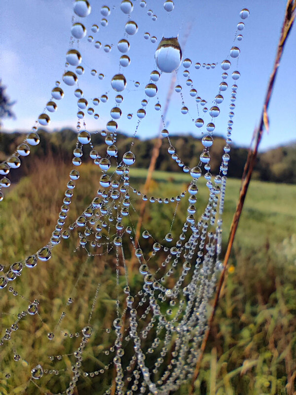 ------------ - igor G.