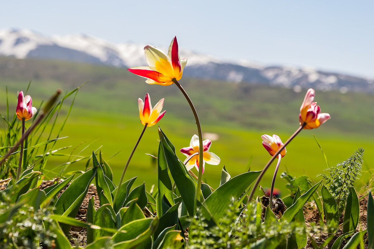Казахстан. - Андрей Щукин