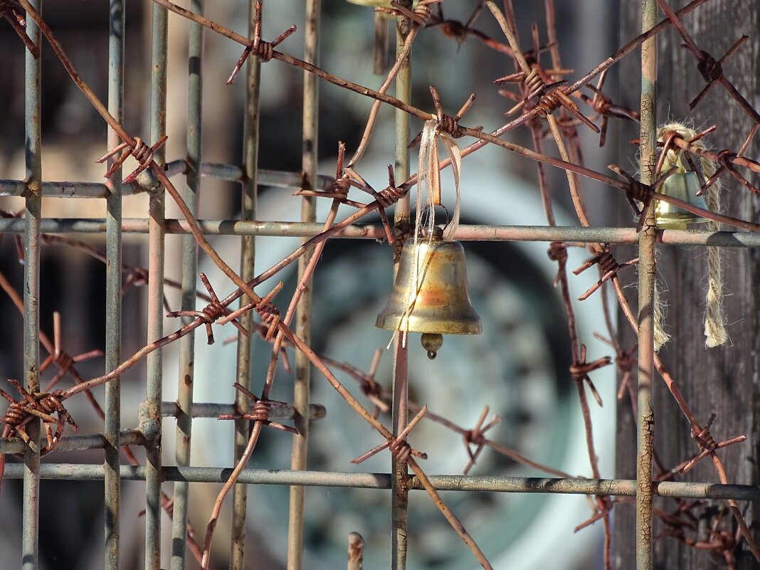 Память - Павел Трунцев Память - Павел Трунцев