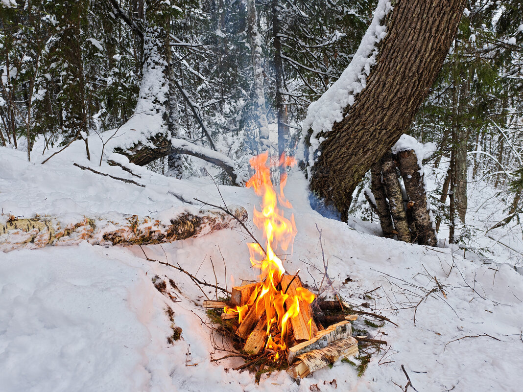 Последний костёр в этом году - Денис Бочкарёв