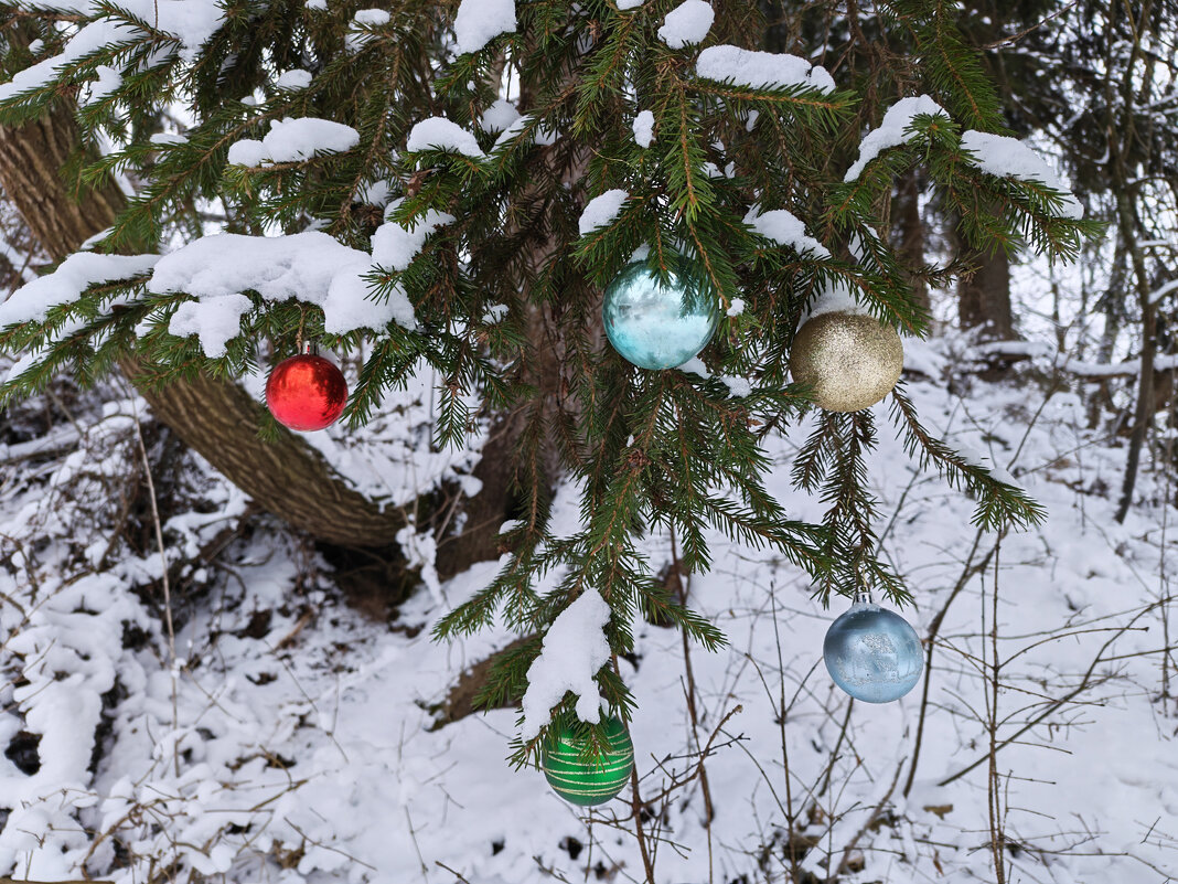 *** - Денис Бочкарёв