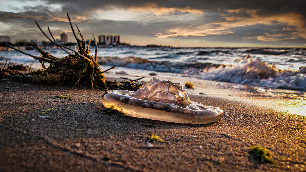 Однажды в Анапе ;-) - Алексей Пышненко
