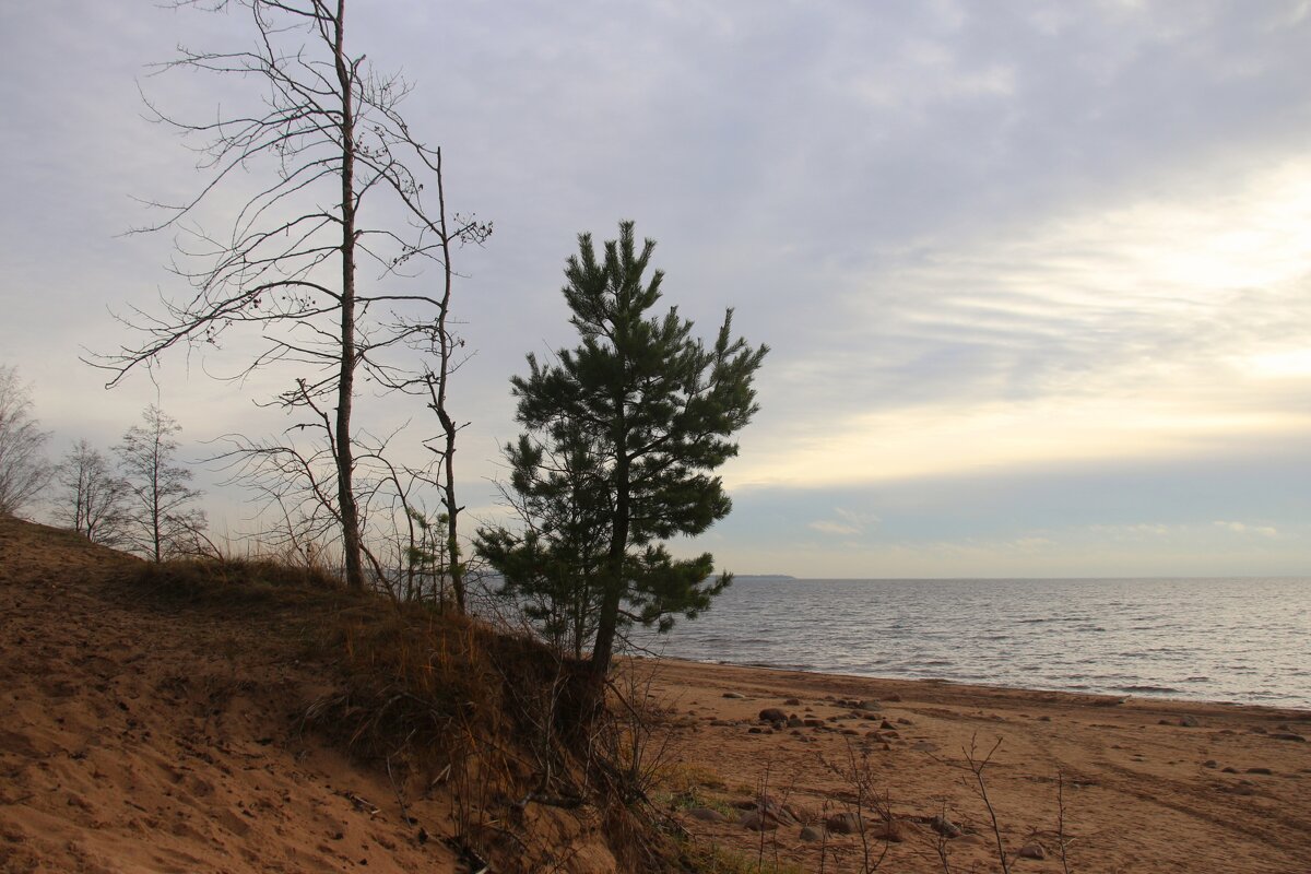 Осень 2025. Ноябрь - Наталья Герасимова