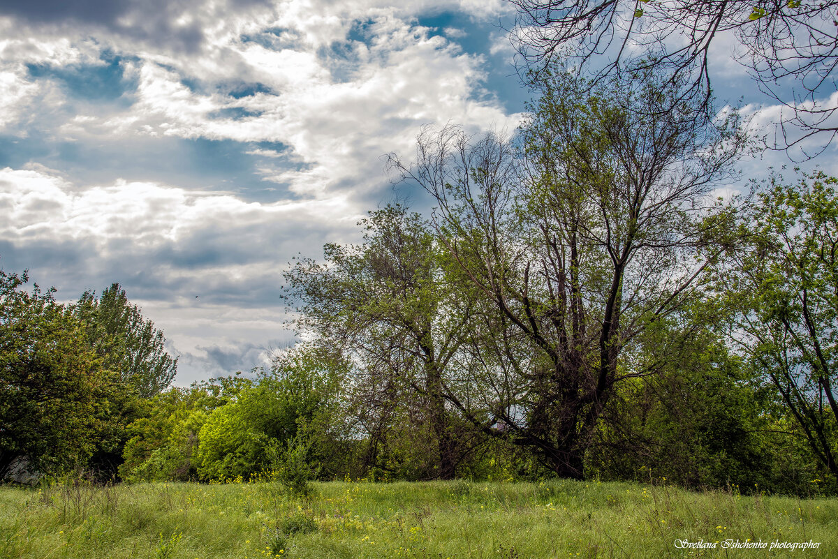 Облака над городом. - Светлана Ищенко