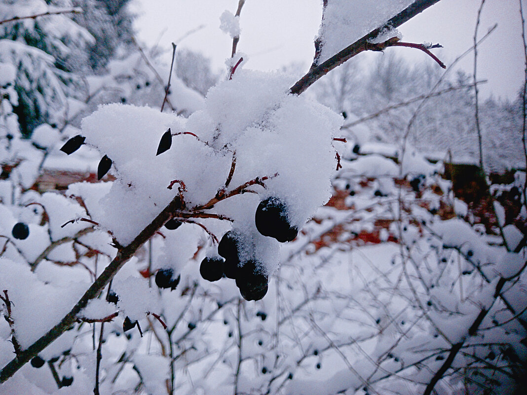 ** - Сергей Кочнев