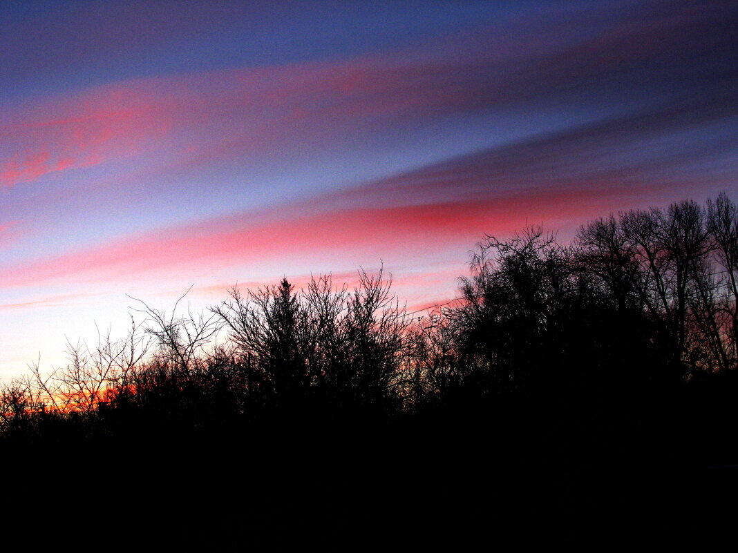 Декабрьское утро - Людмила Смородинская