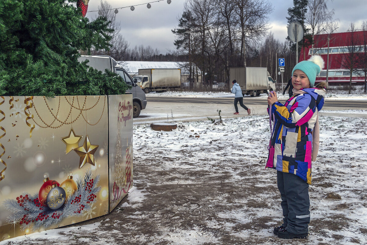 Алиса снимает Новогоднюю елку - Сергей Цветков Алиса снимает Новогоднюю елку - Сергей Цветков