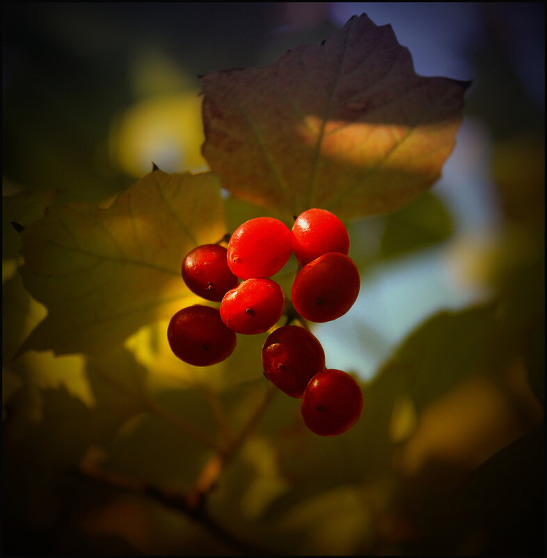 *** - Александр. AVG100 ---