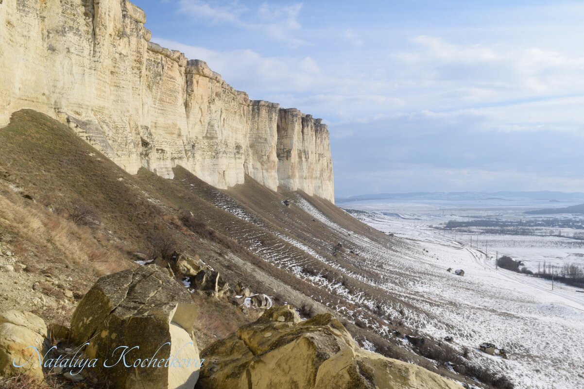 Природа Крыма - Amazing Cosmea