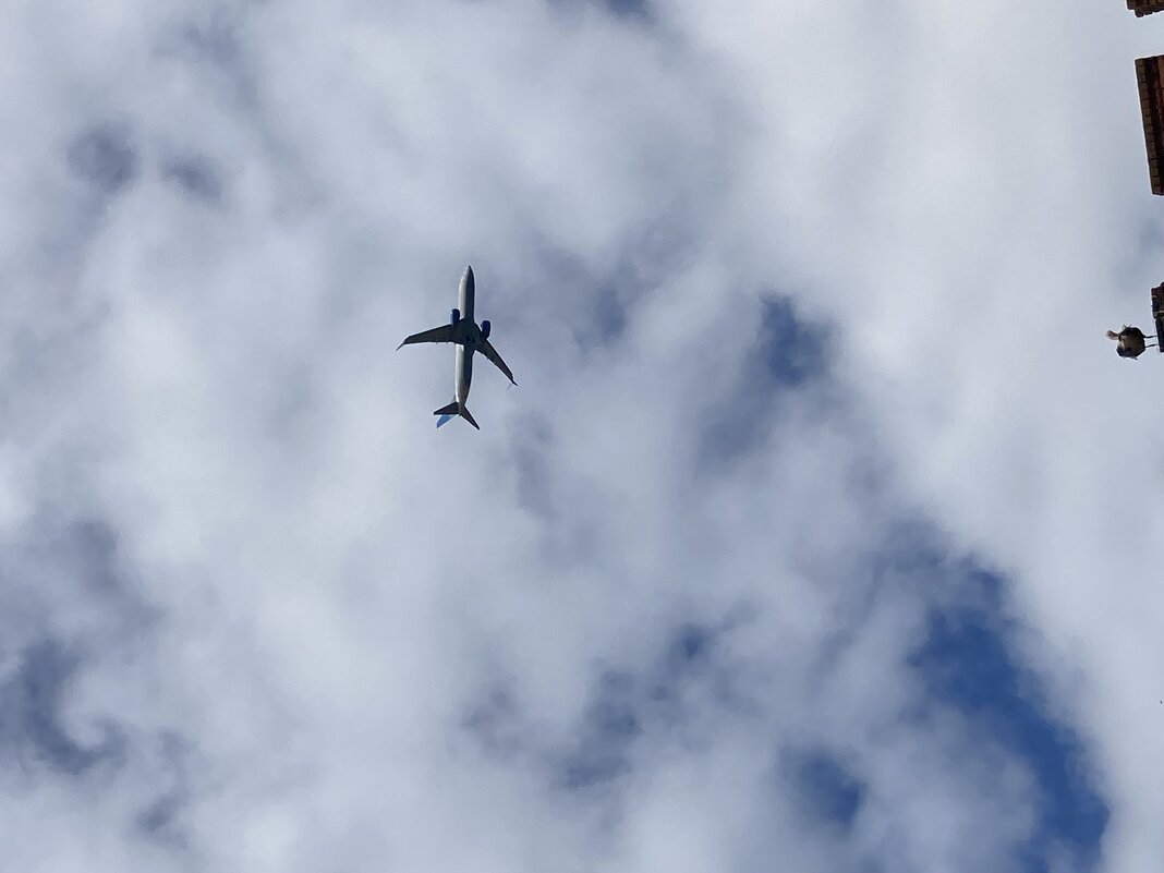 В небе - Ольга Савельева 