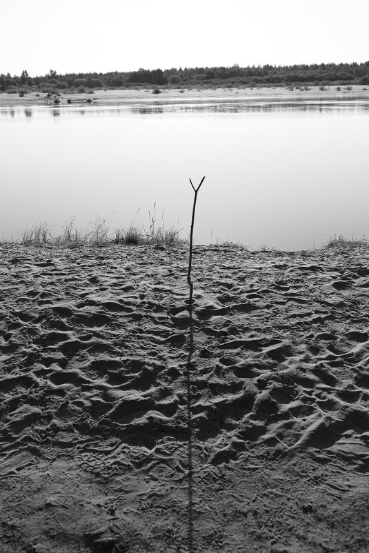 Фотография - Денис Безногов