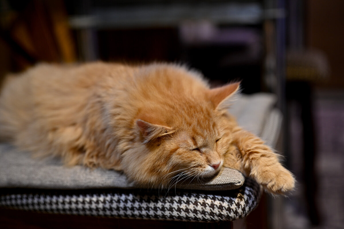 * - Вадим * - Вадим