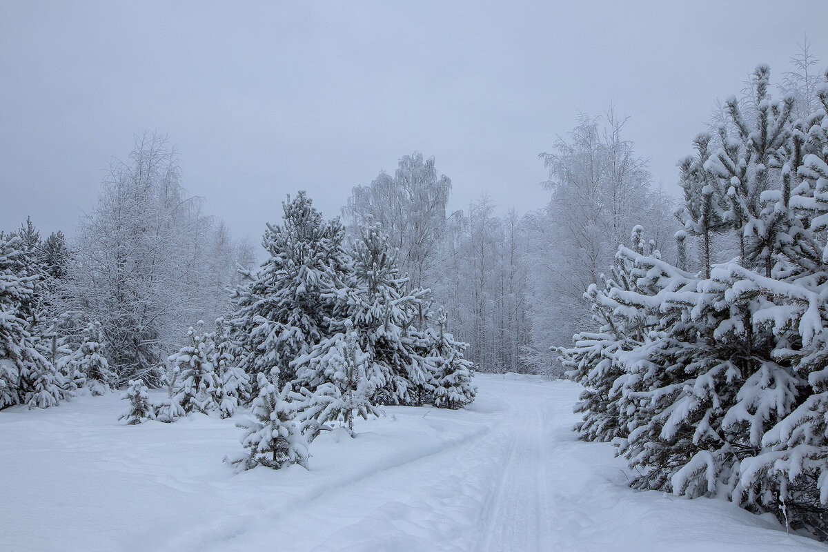 Свежий снег. - Андрей Дурапов Свежий снег. - Андрей Дурапов