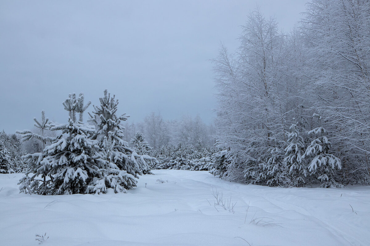 *** - Андрей Дурапов